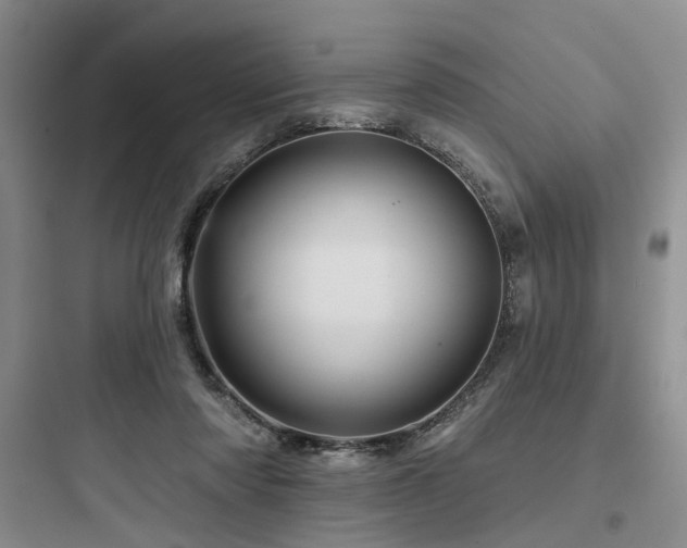 X0000097990310200803241347