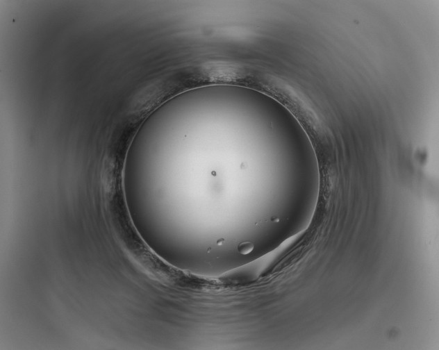 X0000097990311200803241347