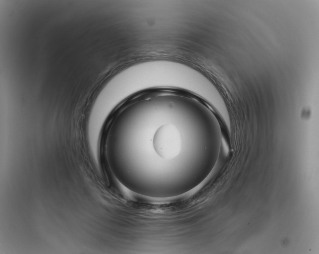 X0000097990312200803241347
