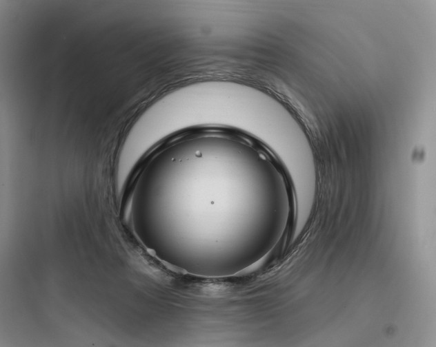X0000097990313200803241347