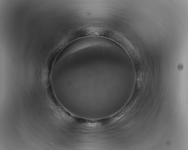 X0000097990314200803241347