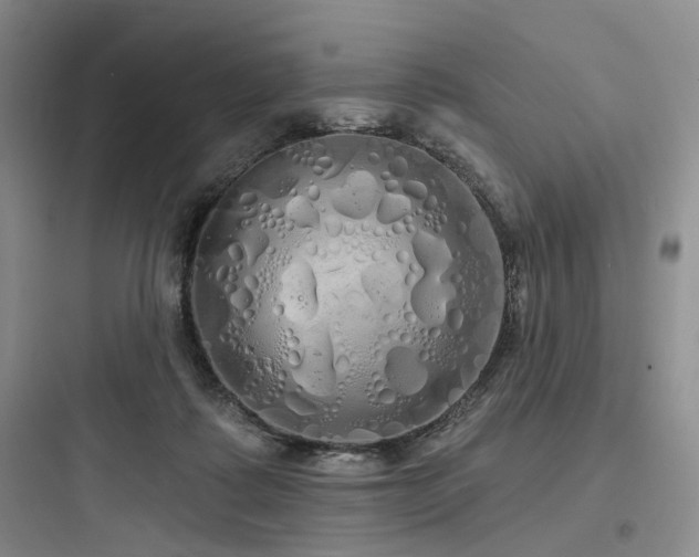 X0000097990315200803241347