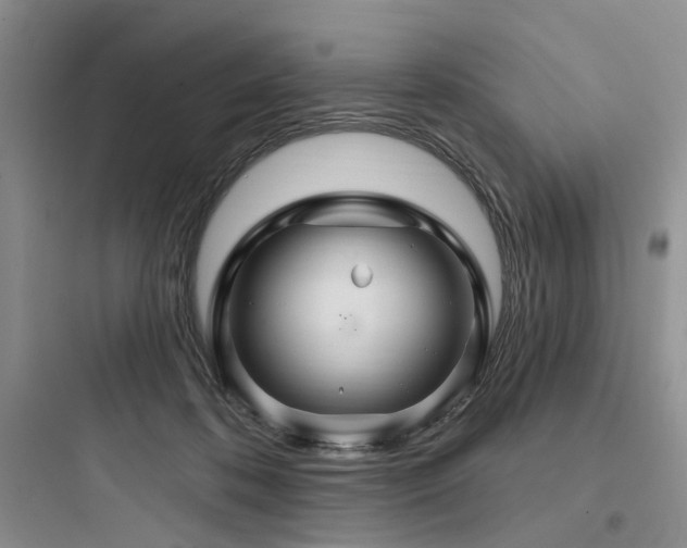 X0000097990316200803241347