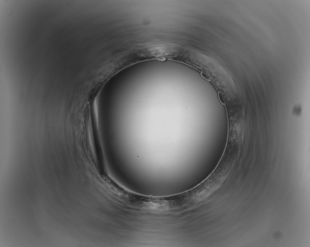 X0000097990317200803241347
