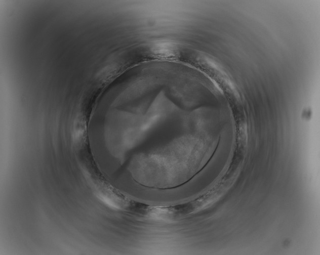 X0000097990320200803241347