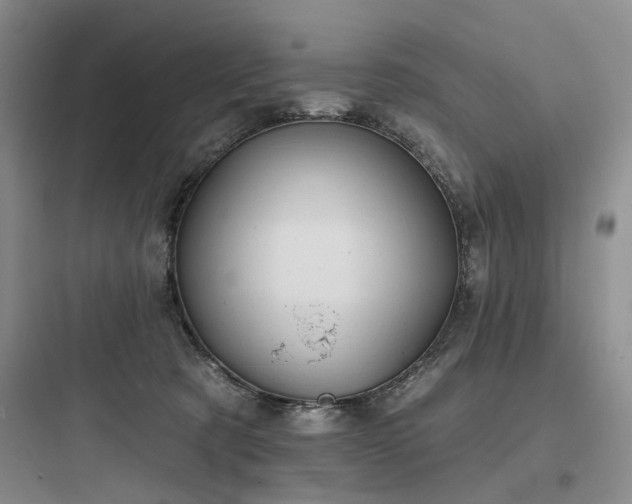 X0000097990321200803241347