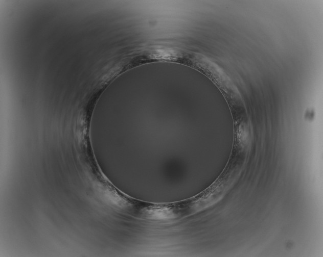 X0000097990322200803241347