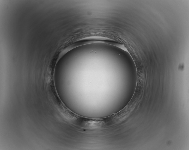 X0000097990323200803241347