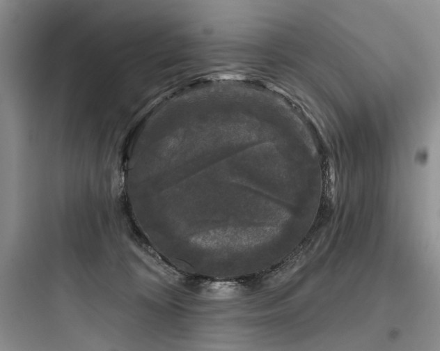 X0000097990324200803241347