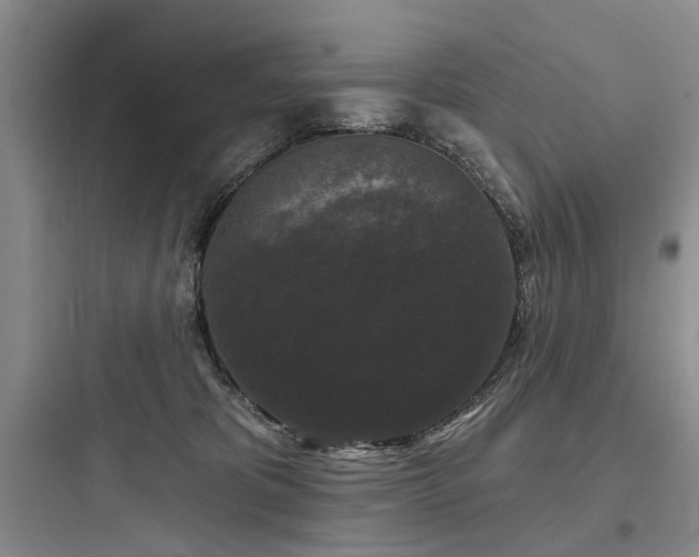 X0000097990325200803241347