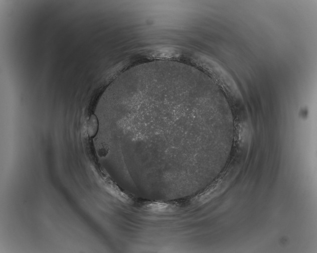 X0000097990326200803241347