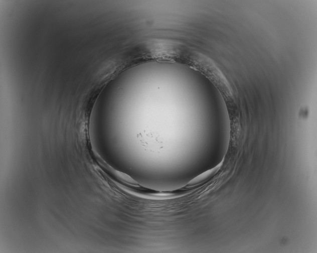 X0000097990329200803241347