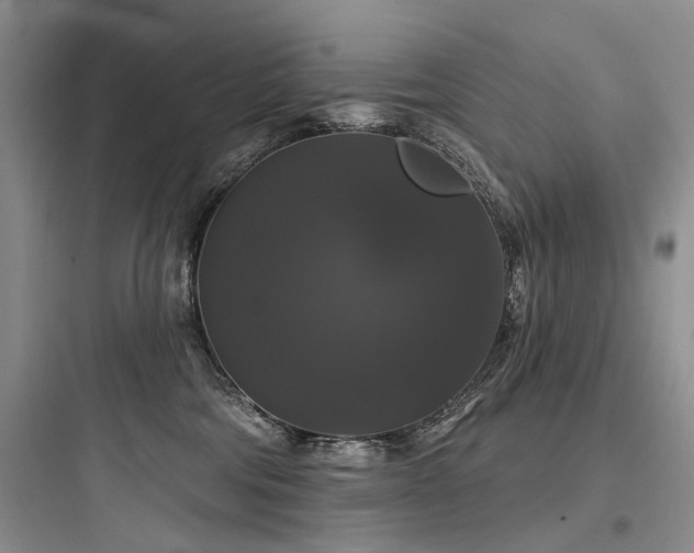 X0000097990330200803241347