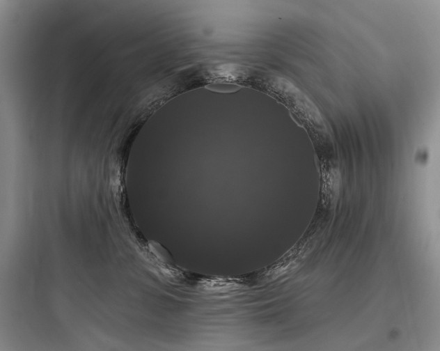 X0000097990331200803241347