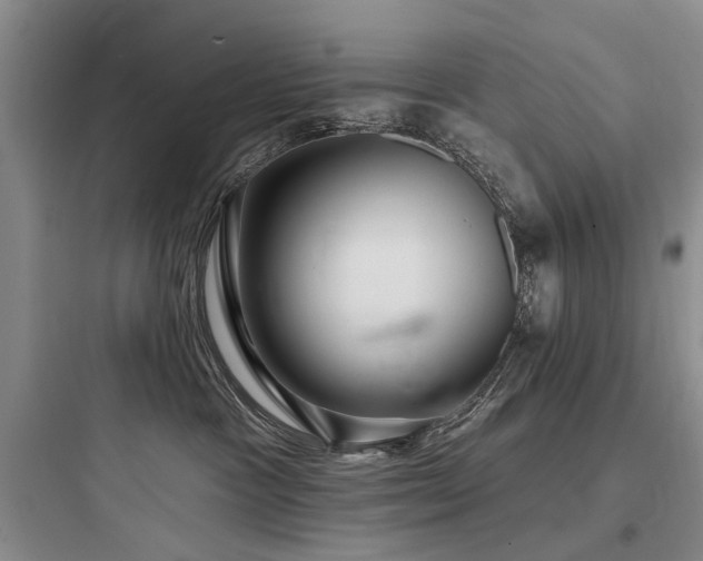 X0000097990333200803241347