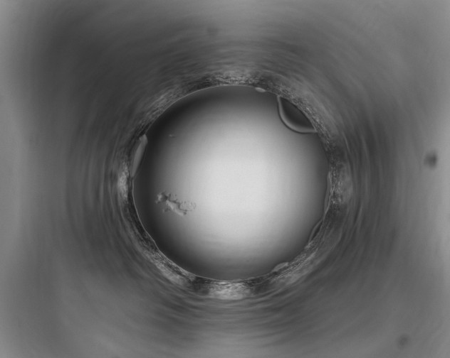 X0000097990334200803241347