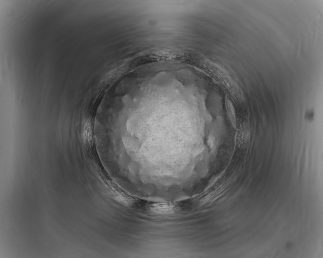 X0000097990335200803241347
