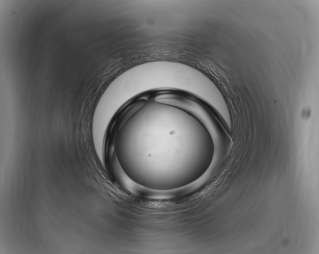 X0000097990336200803241347