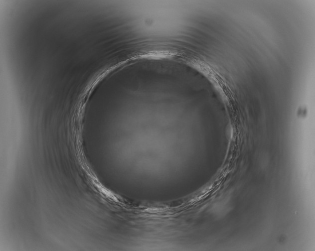 X0000097990337200803241346