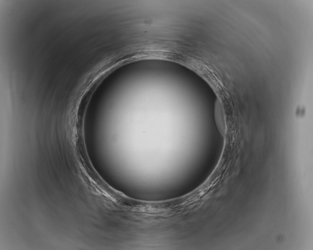 X0000097990338200803241346