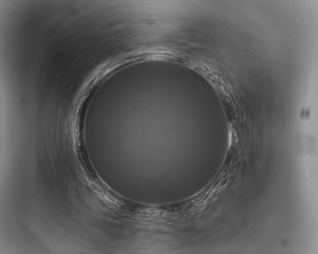 X0000097990339200803241346