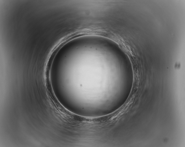 X0000097990340200803241346