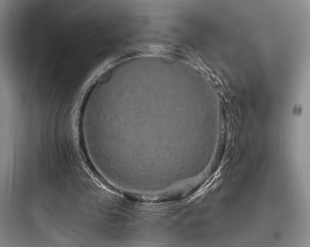 X0000097990341200803241346