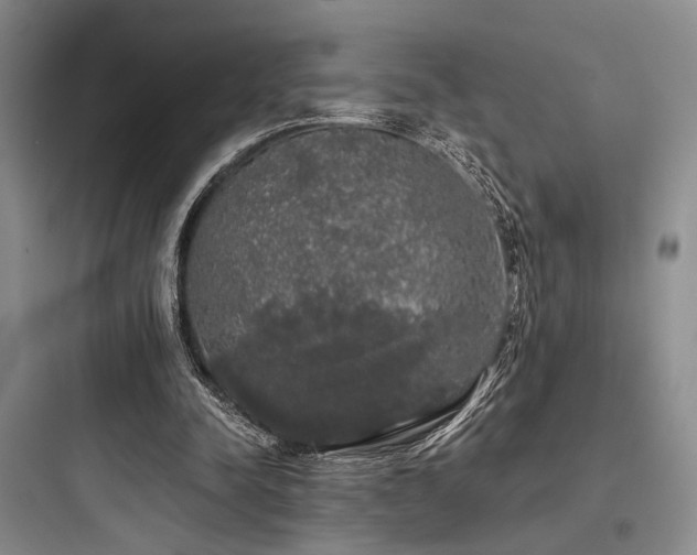 X0000097990342200803241346