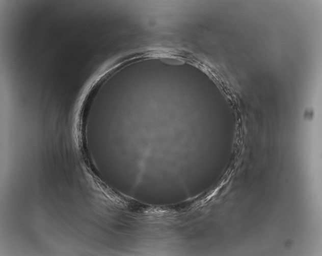 X0000097990343200803241346
