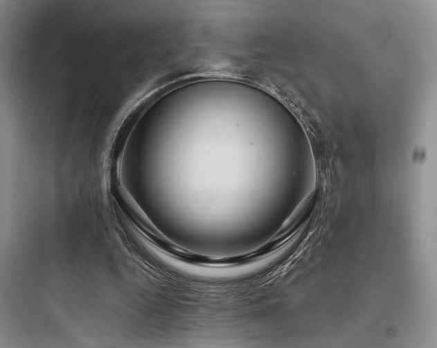 X0000097990344200803241346