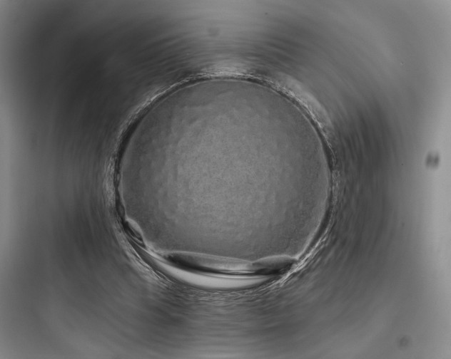 X0000097990345200803241346