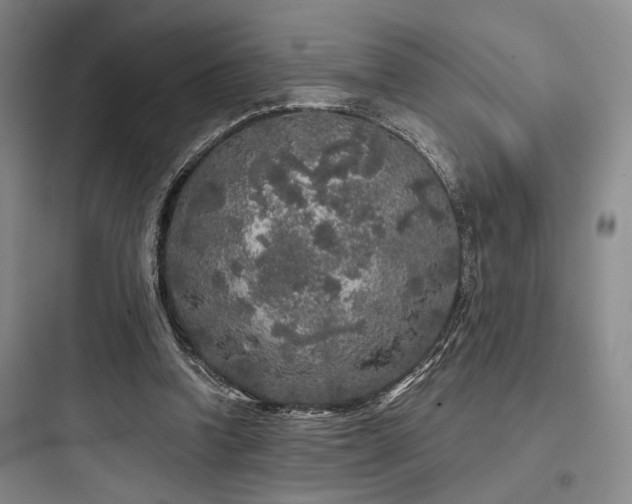 X0000097990346200803241346