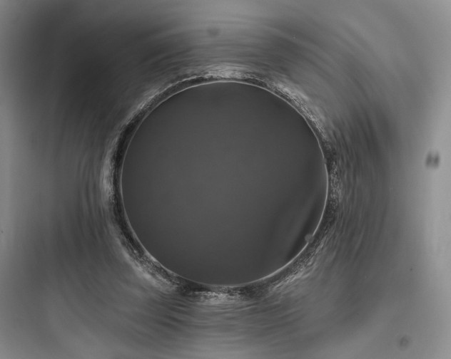 X0000097990347200803241346