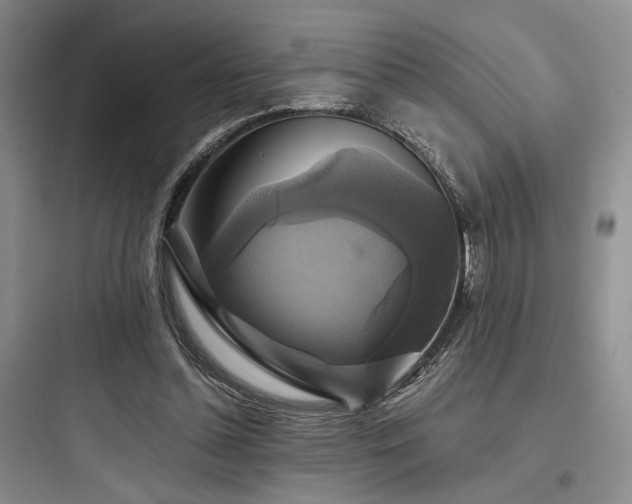 X0000097990348200803241346