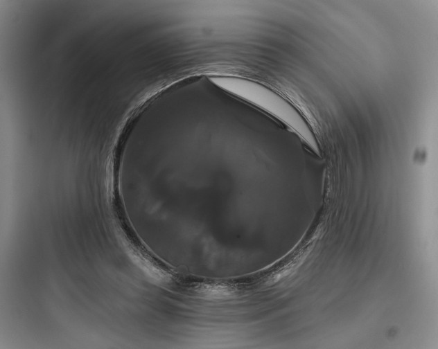 X0000097990349200803241346