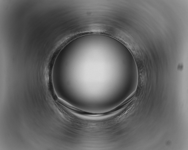 X0000097990350200803241346