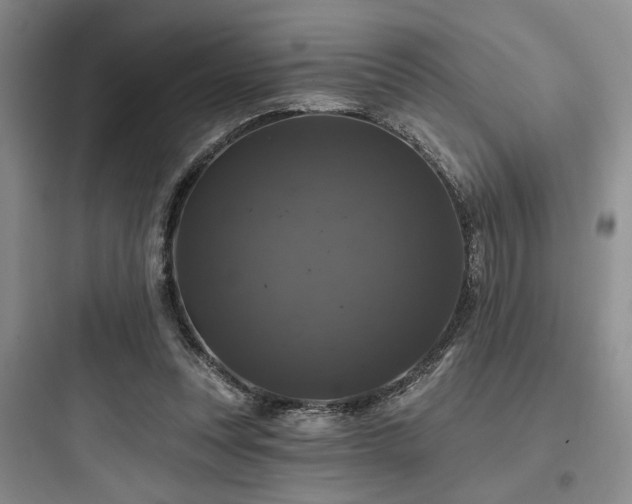 X0000097990351200803241346