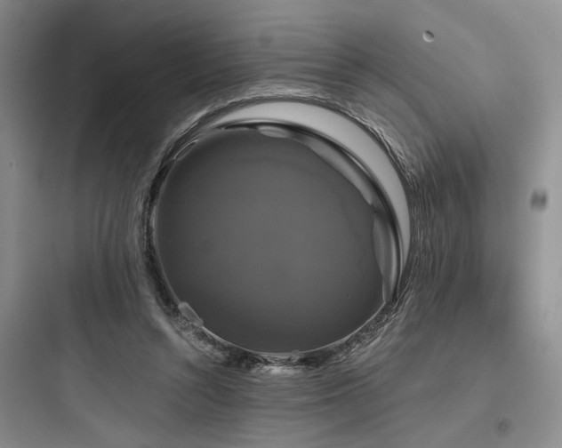 X0000097990352200803241346