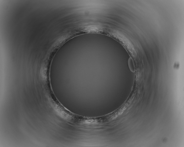 X0000097990353200803241346