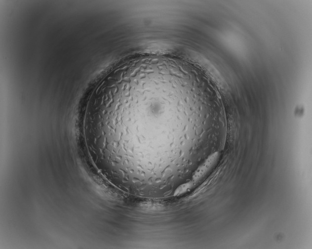 X0000097990354200803241346