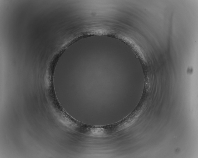 X0000097990355200803241346