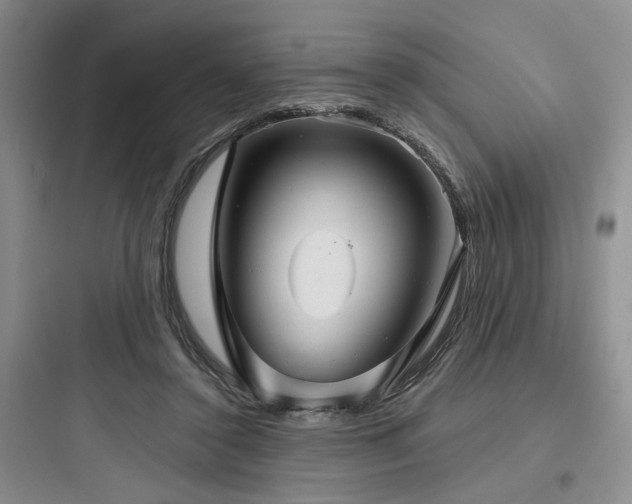 X0000097990356200803241346
