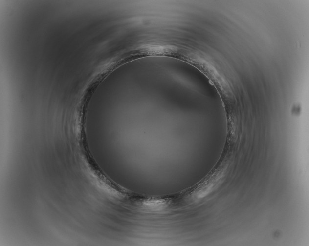 X0000097990357200803241346