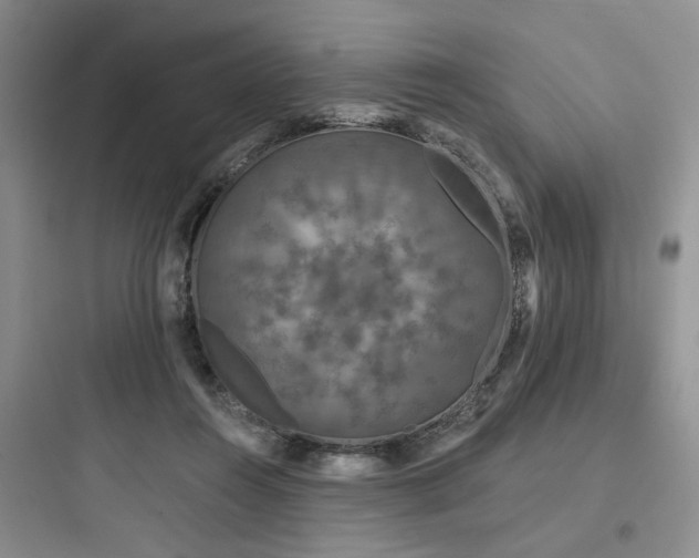 X0000097990360200803241346