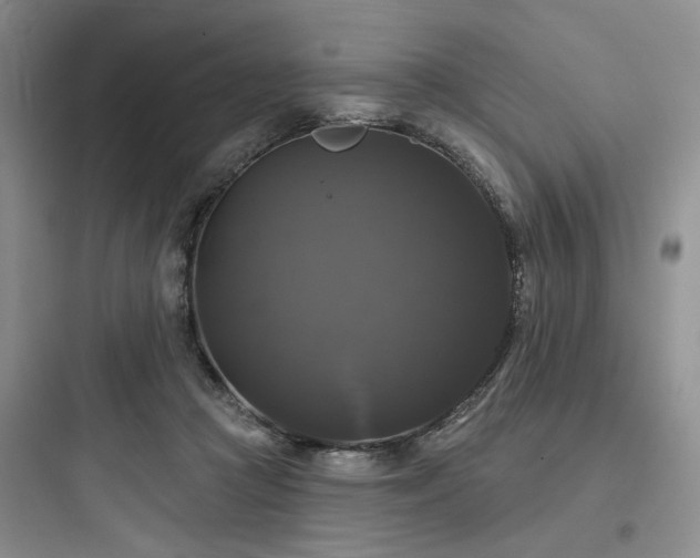 X0000097990361200803241346