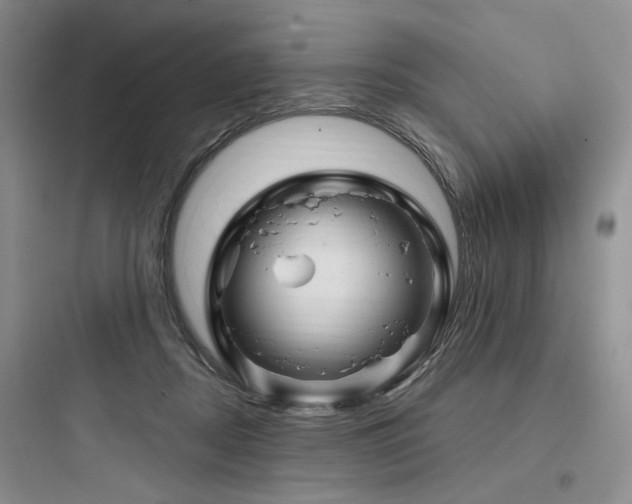 X0000097990362200803241346