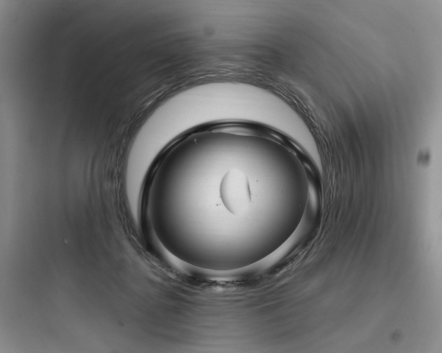 X0000097990364200803241347