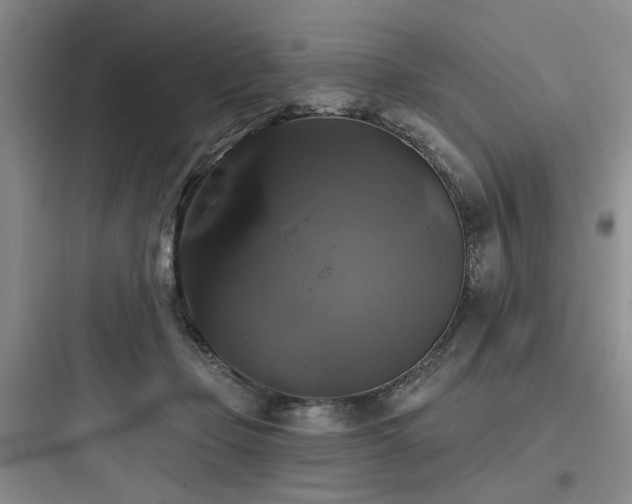 X0000097990365200803241347