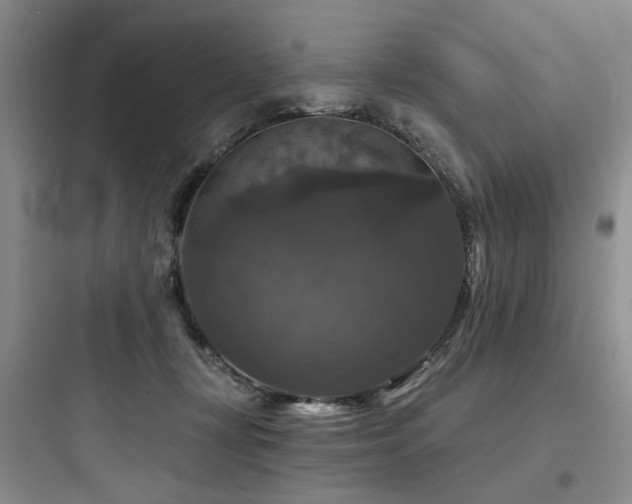 X0000097990367200803241347