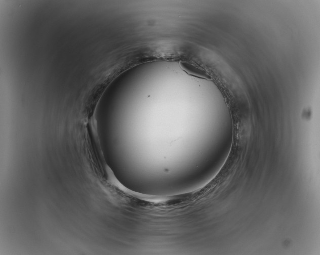 X0000097990368200803241347